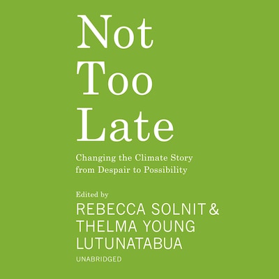 Not Too Late – omslag til lydbogen af Unknown Author