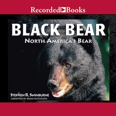 Black Bear – omslag til lydbogen af Stephen R. Swinburne