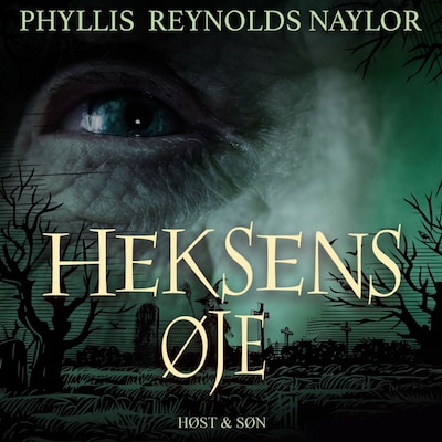 Heksens øje – omslag til lydbogen af Phyllis Reynolds Naylor