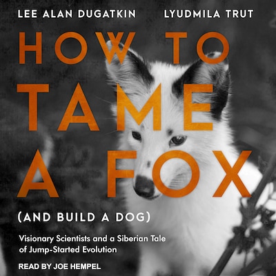 How to Tame a Fox (and Build a Dog) – omslag til lydbogen af Lee Alan Dugatkin, Lyudmila Trut