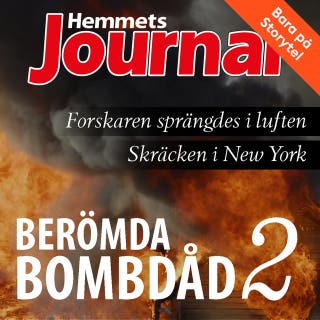 Berömda bombdåd 2