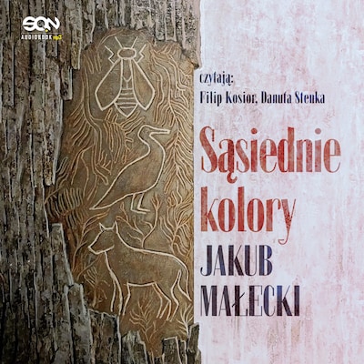 Sąsiednie kolory – okładka audiobooka, autor Jakub Małecki