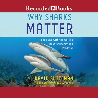 Why Sharks Matter