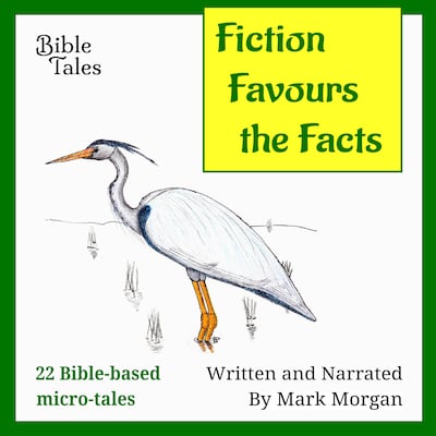 Fiction Favours the Facts – okładka audiobooka, autor Mark Morgan