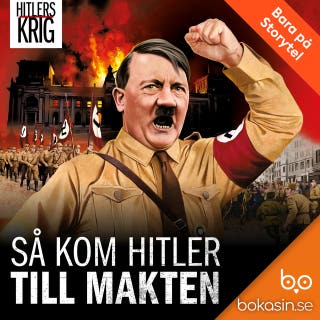 Så kom Hitler till makten