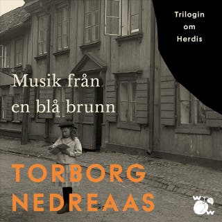 Musik från en blå brunn – omslag till ljudboken av Torborg Nedreaas