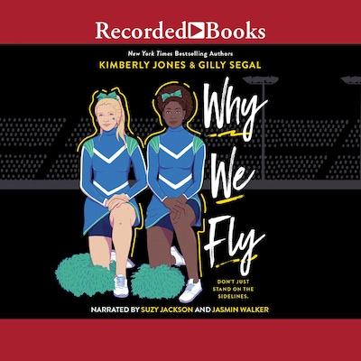 Why We Fly