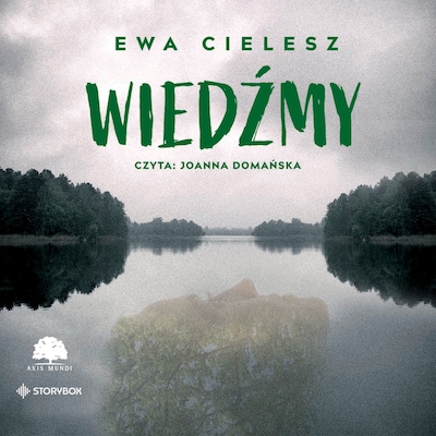 Wiedźmy – okładka audiobooka, autor Ewa Cielesz