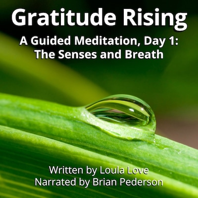 Gratitude Rising, Day 1: A Guided Meditation – omslag til lydbogen af Loula Love
