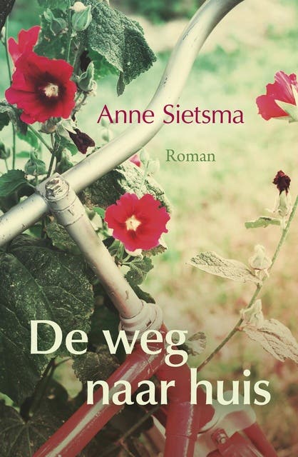 De weg naar huis – omslag van het luisterboek van Anne Sietsma