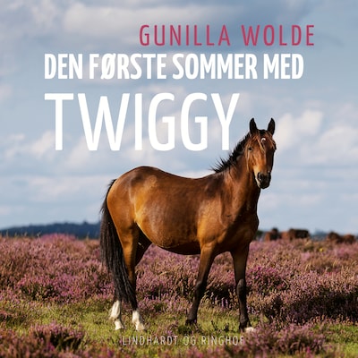 Den første sommer med Twiggy – omslag til lydbogen af Gunilla Wolde