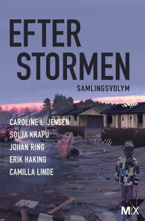 Efter stormen : utökad samlingsvolym – omslag till ljudboken av Camilla Linde,Caroline L. Jensen,Erik Haking,Johan Ring,Solja Krapu-Kallio
