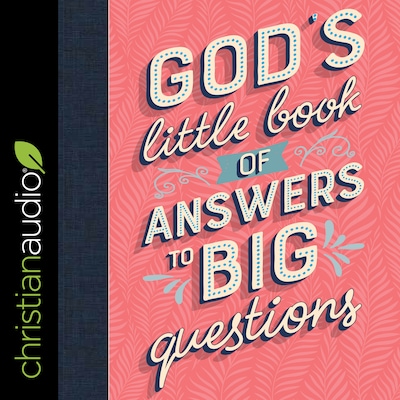 God's Little Book of Answers to Big Questions – omslag til lydbogen af Amy E. Mason