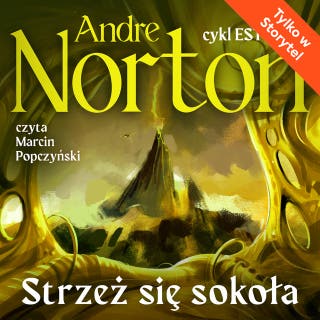 Strzeż się sokoła – okładka audiobooka, autor Andre Norton