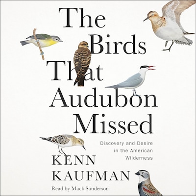 The Birds That Audubon Missed