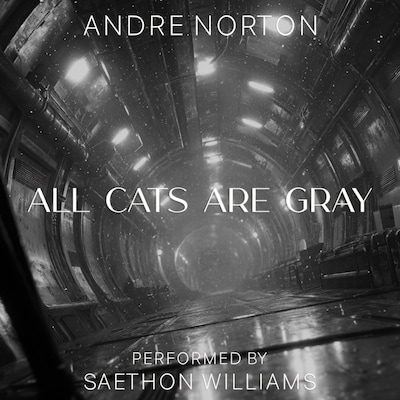 All Cats Are Gray – omslag til lydbogen af Andre Norton