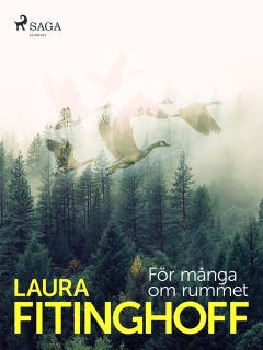 För många om rummet