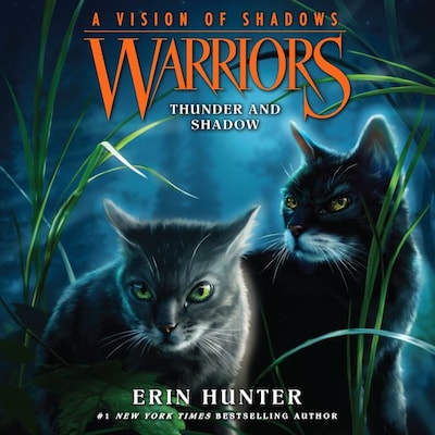 Warriors: A Vision of Shadows #2: Thunder and Shadow