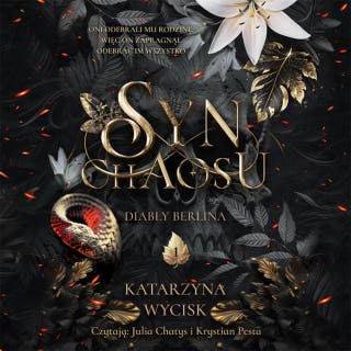 Syn Chaosu – okładka audiobooka, autor Katarzyna Wycisk