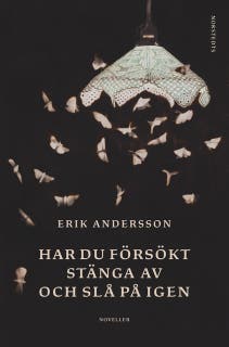 Har du försökt stänga av och slå på igen : noveller – omslag till ljudboken av Erik Andersson
