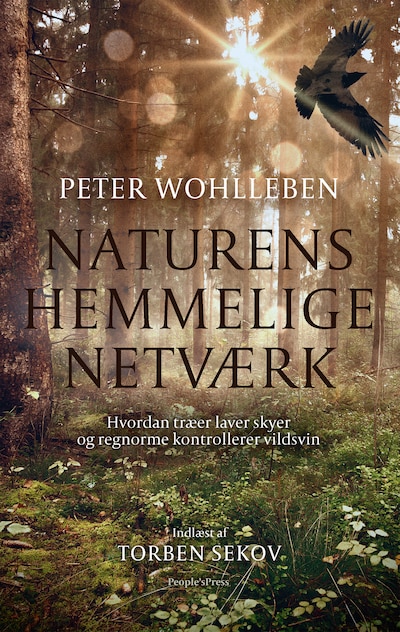 Naturens hemmelige netværk – omslag til lydbogen af Peter Wohlleben