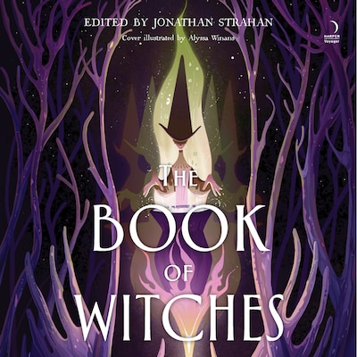 The Book of Witches