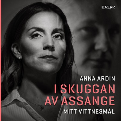 I skuggan av Assange : mitt vittnesmål
