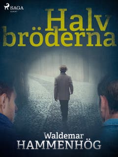 Halvbröderna – omslag till ljudboken av Waldemar Hammenhög