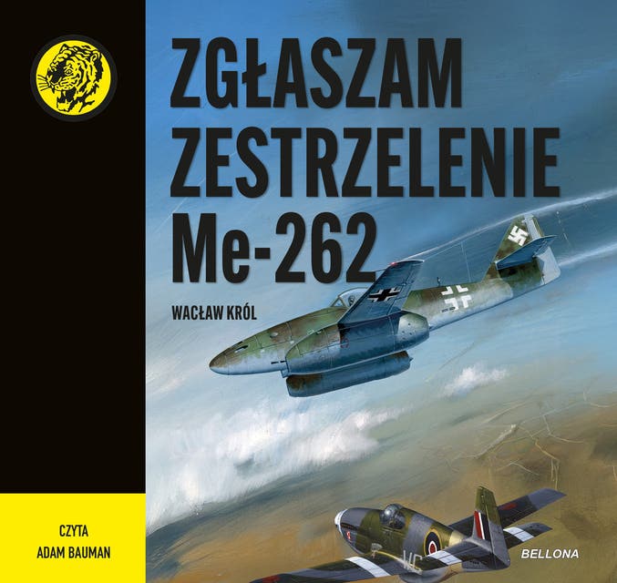 Zgłaszam zestrzelenie Me 262