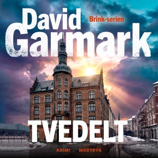 Tvedelt – omslag til lydbogen af David Garmark
