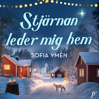 Stjärnan leder mig hem