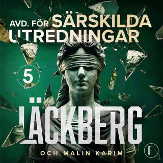 I lagens skugga – omslag till ljudboken av Camilla Läckberg,Malin Karim