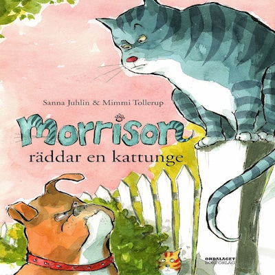 Morrison räddar en kattunge