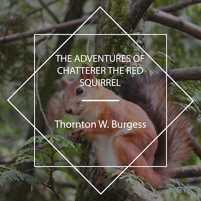 The Adventures of Chatterer the Red Squirrel
