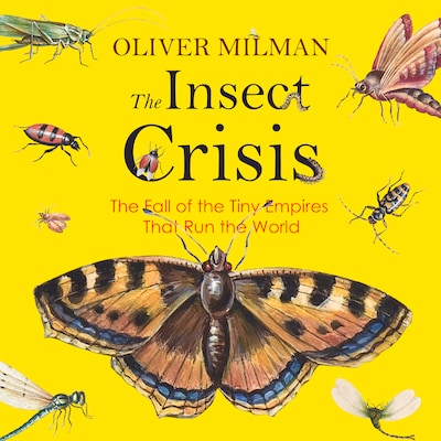 The Insect Crisis – omslag til lydbogen af Oliver Milman