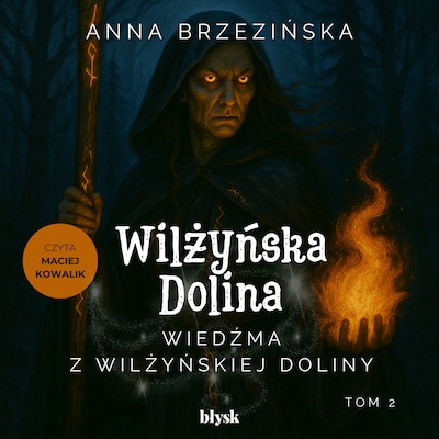 Wiedźma z Wilżyńskiej Doliny – okładka audiobooka, autor Anna Brzezińska