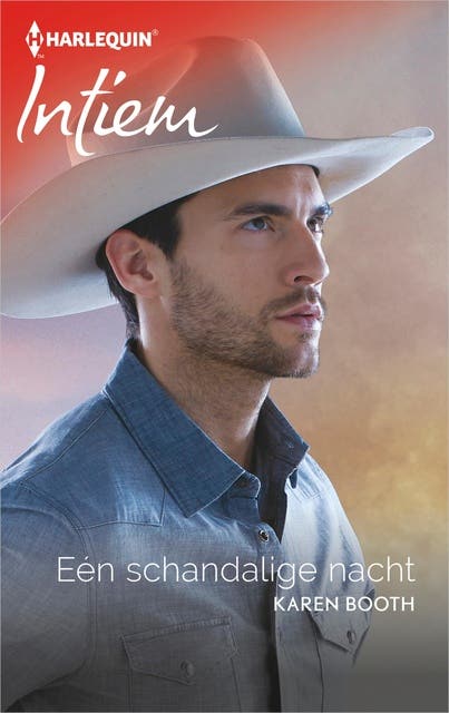 Eén schandalige nacht