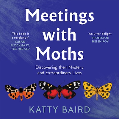 Meetings with Moths