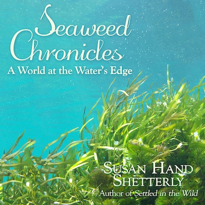 Seaweed Chronicles – omslag til lydbogen af Susan Hand Shetterly