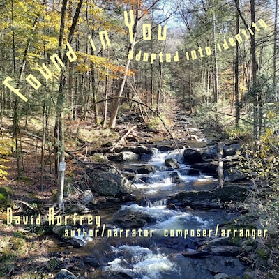 Found in You – omslag til lydbogen af David Norfrey