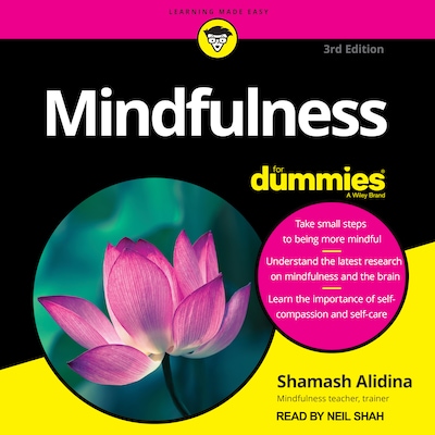 Mindfulness For Dummies – omslag til lydbogen af Shamash Alidina