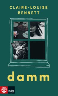 Damm – omslag till ljudboken av Claire-Louise Bennett