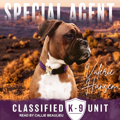 Special Agent – omslag til lydbogen af Valerie Hansen