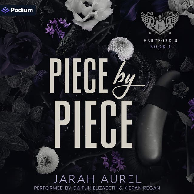 Piece by Piece: Hartford U, Book 1 – okładka audiobooka, autor Jarah Aurel