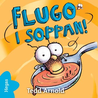 Flugo i soppan