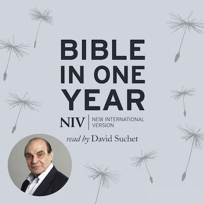 NIV Audio Bible in One Year read by David Suchet – omslag til lydbogen af New International Version