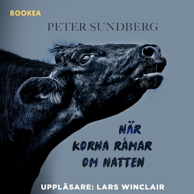 När korna råmar om natten