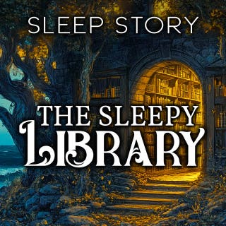 The Sleepy Library: Sleep Story