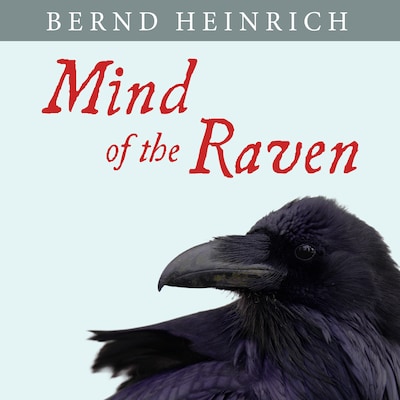 Mind of the Raven – omslag til lydbogen af Bernd Heinrich