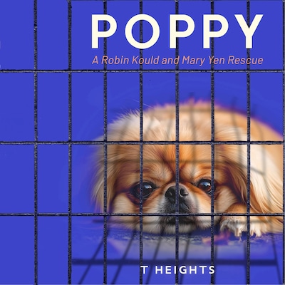 Poppy – okładka audiobooka, autor T Heights
